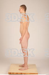 Body texture of Dexter 0003